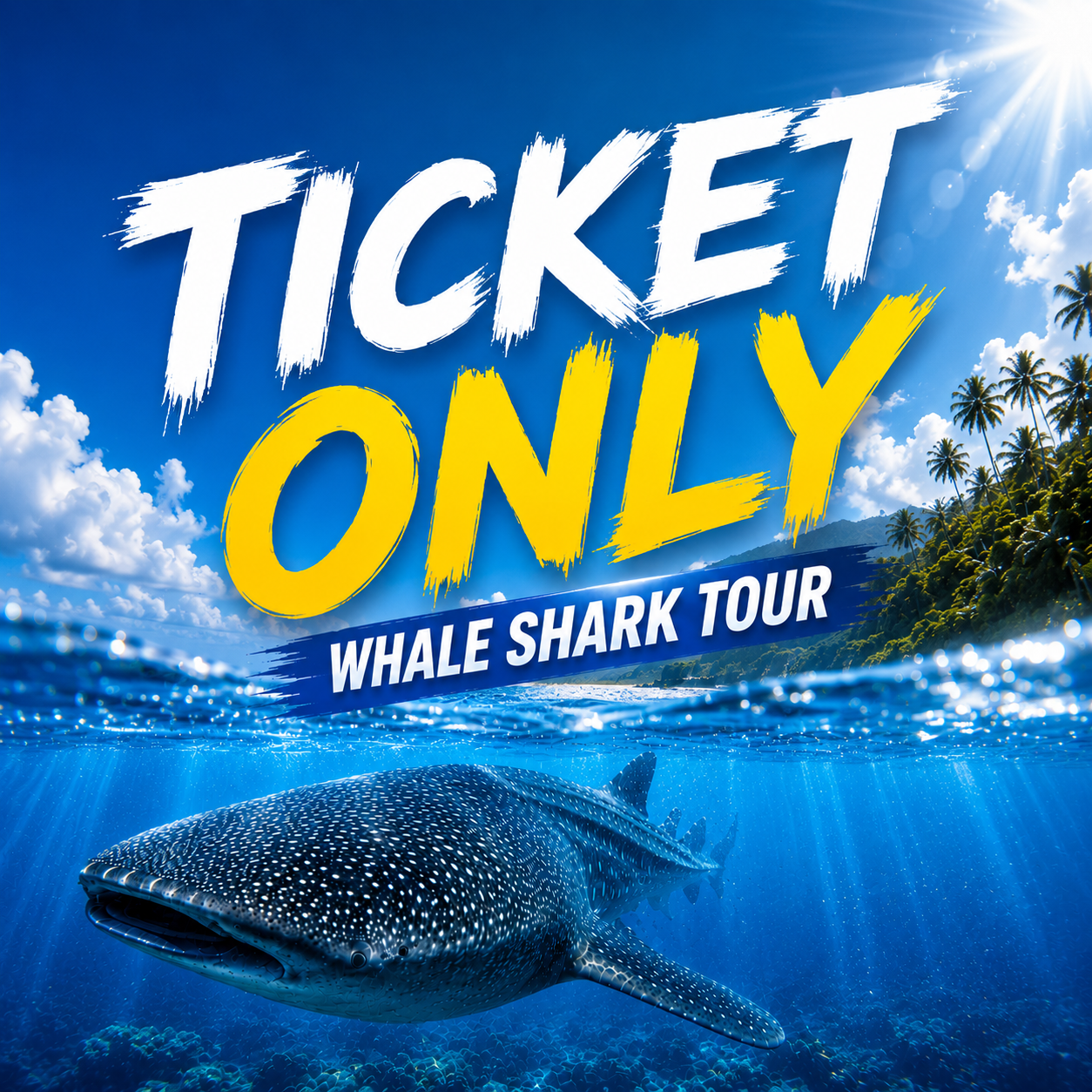 Ticket Only Whale Shark Tour